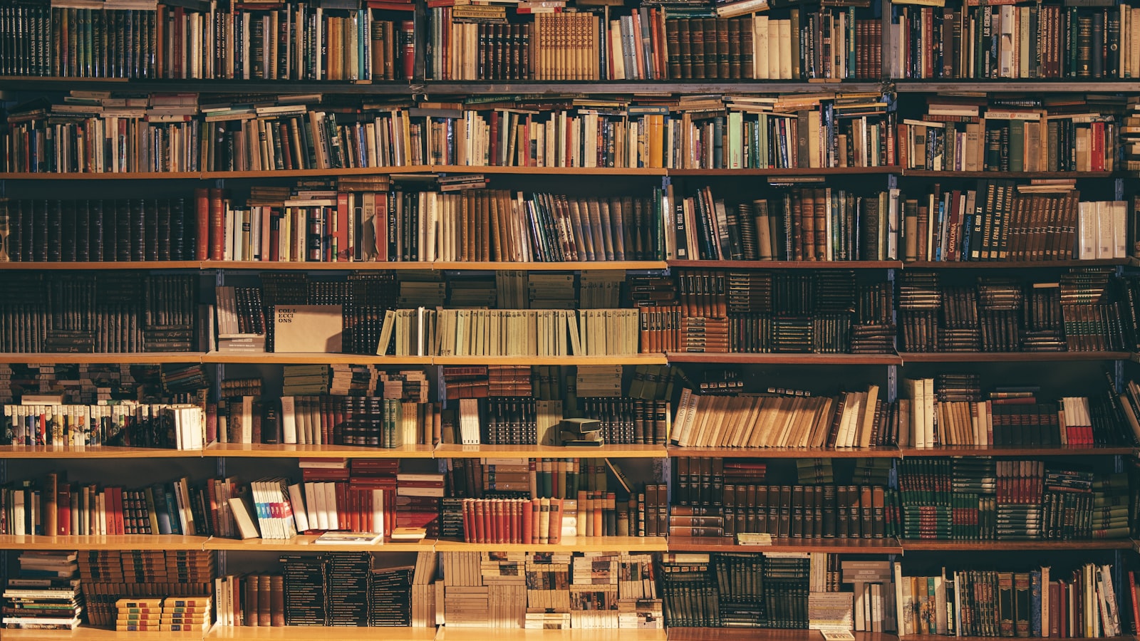 Tall wooden bookshelves filled with books in a cozy home library