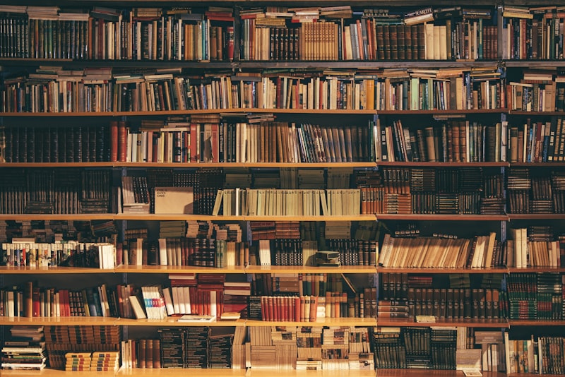 Tall wooden bookshelves filled with books in a cozy home library
