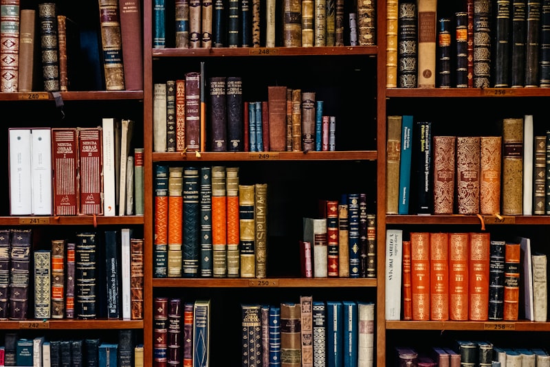 Floor-to-ceiling bookshelves packed with books in a personal library